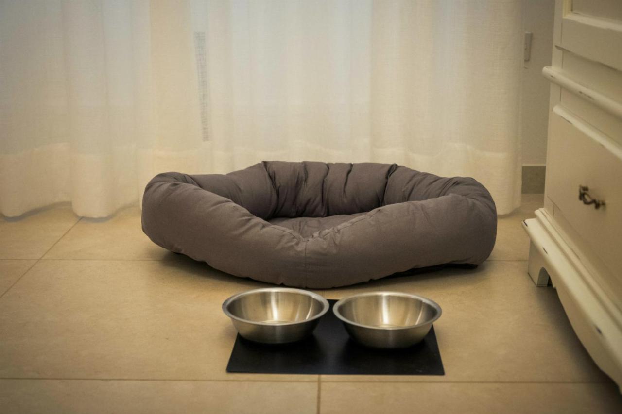 Amate Suite Lecce Zewnętrze zdjęcie